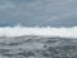 Waspada Potensi Banjir Rob di Sejumlah Wilayah Pesisir Indonesia