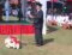 HUT RI ke-80 Kecamatan Jampangkulon Sukabumi, Anggota DPRD Anang Janur Bacakan Teks Proklamasi