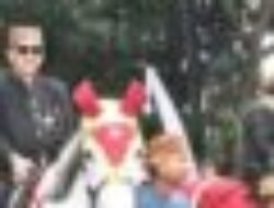 Bupati Sukabumi dan Wabup Ikut Meriahkan Kirab Budaya Hari Jadi Jabar ke-80