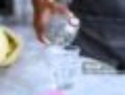 Air Cacing untuk Tipes: Mitos atau Fakta?