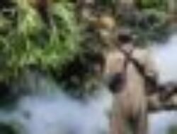 Dinkes Kota Sukabumi Gencarkan Fogging, Kasus DBD Mengintai