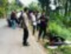 Sultan Asal Tanjungsari Alami Kecelakaan Tunggal