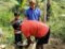 Mahasiswa KKN Nusa Putra Sukabumi Tanam 500 Pohon di Cikidang dan Bumisari, Cegah Longsor