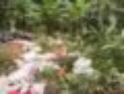 Kecelakaan Leter S Cikidang Sukabumi, Truk Bermuatan Pupuk Terjun Bebas