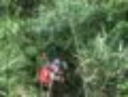 Mobil di Sukabumi Terjun ke Jurang 20 Meter, Diduga Sopir Mengantuk