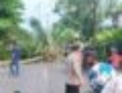 Pohon Tumbang di Jalan Raya Cisolok Sukabumi, Sempat Tersendat Lalu Lintas Kembali Normal