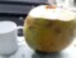 Air Kelapa Bakar, Minuman Tradisional dengan Segudang Khasiat