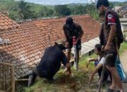 Reflektor di Pinggir Jurang: Inovasi Mahasiswa KKN untuk Mitigasi Bencana