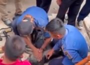 Lutung Nyasar di Depan Hotel Kota Sukabumi Tersetrum Kabel Listrik, Diselamatkan Petugas Damkar