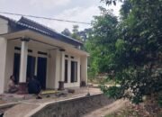 Pulang dalam Haru: Jenazah Pekerja Migran Dikawal Bupati dan Gubernur Hingga Tanah Air