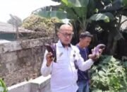 Hijau di Balik Jeruji: Lapas Sukabumi Sulap Pekarangan Jadi Ladang Harapan