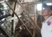 Rumah Rutilahu di Situ Mekar Roboh, BPBD Turun Tangan