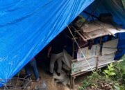 Potret Tambang Emas Ilegal di Cikakak Digerebek, Enam Orang Diamankan