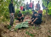 Tragedi di Sungai Cimandiri: Siswa SMK Tewas Tenggelam Saat Berenang