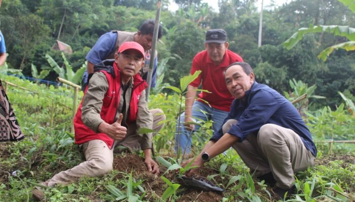 HUT ke-80 PMI Sukabumi: Tebarkan Kebaikan, Lawan Perubahan Iklim