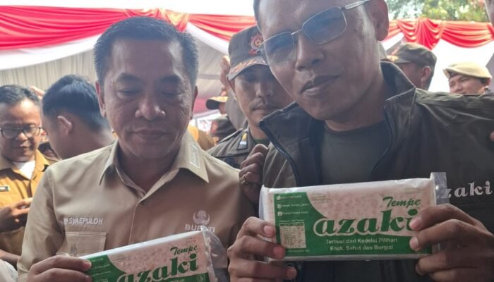 Tempe Azaki Buatan Wali Kota Sukabumi Curi Perhatian Bupati Karawang