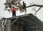 Pohon Durian Tumbang Nyaris Timpa Rumah Warga di Cibadak