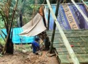 DLH Sukabumi: Istilah Mencuri di Tanah Sendiri Menyesatkan, Itu Tambang Ilegal