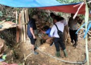 Tambang Emas Ilegal di Sukabumi, Polsek Cikakak Temukan 13 lubang