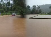Banjir di Purabaya Sukabumi, Enam Hektar Lahan Pertanian Rusak Terendam