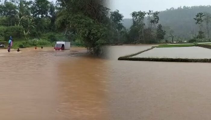Banjir di Purabaya Sukabumi, Enam Hektar Lahan Pertanian Rusak Terendam