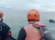 Dua Pemancing yang Terseret Ombak di Sukabumi Ditemukan Tewas