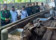 BUMDes Karya Nurani Kembangkan Usaha Penggemukan Sapi