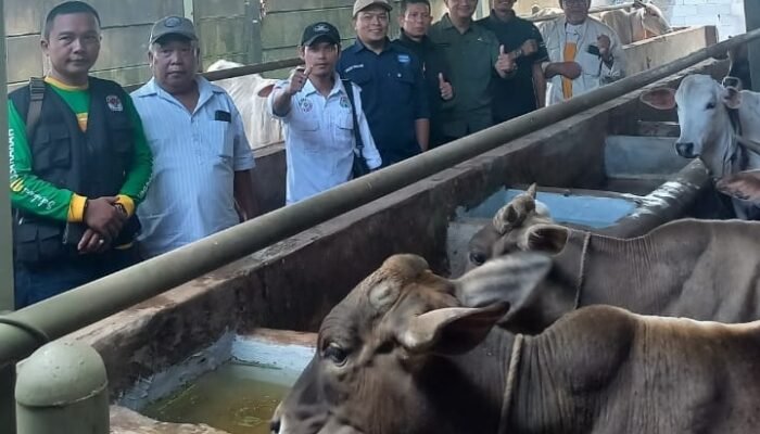 BUMDes Karya Nurani Kembangkan Usaha Penggemukan Sapi