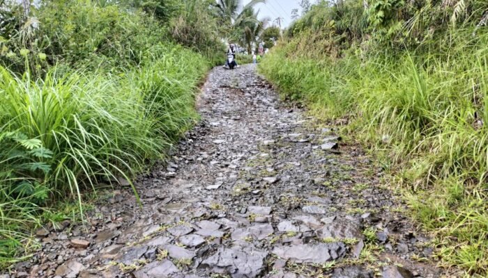 Jalan di Simpenan Sukabumi Rusak Parah, Hambat Akses Warga ke Sekolah dan Puskesmas