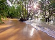 Pesona Pantai Tenda Biru Ujunggenteng, Surga Tersembunyi di Selatan Sukabumi