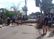 Hujan dan Angin Kencang, Dua Pelajar Tertimpa Pohon Tumbang di Kadudampit Sukabumi