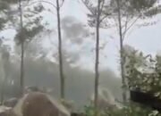 Viral di Medsos, Hutan di kawasan Gunung Salak Sukabumi Dirusak