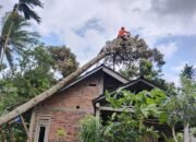 Rumah di Nagrak Sukabumi Tertimpa Pohon
