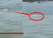 Heboh, Warga Temukan Mayat Mengambang di Pantai Cibuaya Pangumbahan Sukabumi