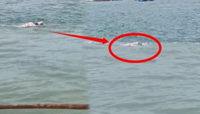 Heboh, Warga Temukan Mayat Mengambang di Pantai Cibuaya Pangumbahan Sukabumi