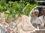 Souvenir Bibit Pohon di Pernikahan Gen Z Viral, Simbol Cinta dan Kepedulian Lingkungan