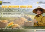 BULOG Kembali Laksanakan SERGAB 2026, Lindungi Pendapatan Petani dan Perkuat Ketahanan Pangan