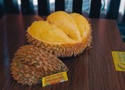Minum Air dari Kulit Durian untuk Atasi Mabuk Durian, Mitos atau Fakta?
