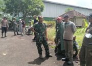 Survey KDMP Jampangkulon Fokus Pemetaan Lahan dan Dampak Ekonomi Warga