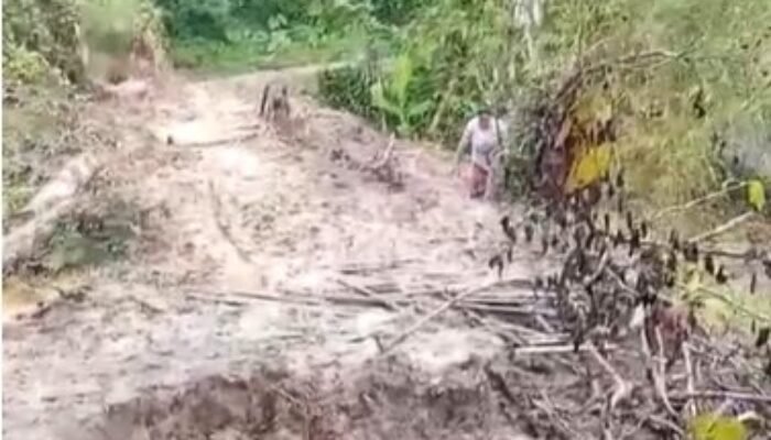 DPU: Perbaikan Jalan Mekarjaya Warungkiara Sukabumi Tahun Ini