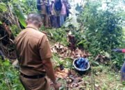 Geger di Simpenan Sukabumi, Warga Temukan Kerangka Manusia