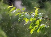 Cuaca Sukabumi Hari Ini, 17 Februari 2026