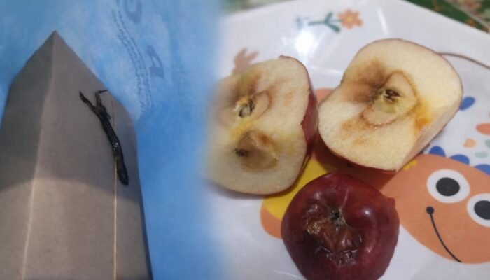 Gegara Bangkai Cicak dan Buah Busuk, Operasional SPPG di Sukabumi Dibekukan