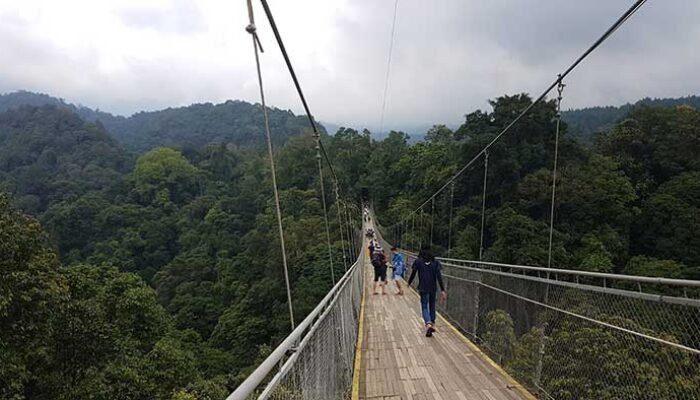 Penyebab Wisata Situ Gunung Sepi, Nitizen Harga Mahal dan Akses Krodit!