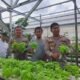 Greenhouse Hidroponik Polres Sukabumi di Loji Simpenan Jadi Pemasok Sayur Program MBG