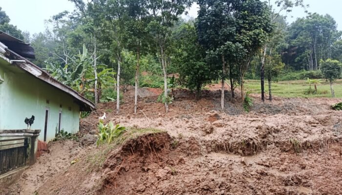 Detik-detik Mencekam Bukit Pasirmuncang Longsor di Jampang Tengah, Lumpur Dekati Teras, Warga: Kami Panik