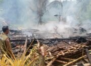 Kebakaran Hanguskan Rumah Panggung di Ciracap, Dua Warga Mengungsi