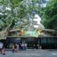 Polemik Bandung Zoo Belum Usai, KDM Siapkan Langkah Penyelamatan