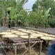 Desa Girijaya Warungkiara Sukabumi Kembangkan Potensi UMKM dan Pertanian untuk Dongkrak Ekonomi Warga