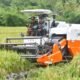 Panen Raya di Ciemas, Produktivitas Padi Lampaui Rata-rata Kabupaten Sukabumi